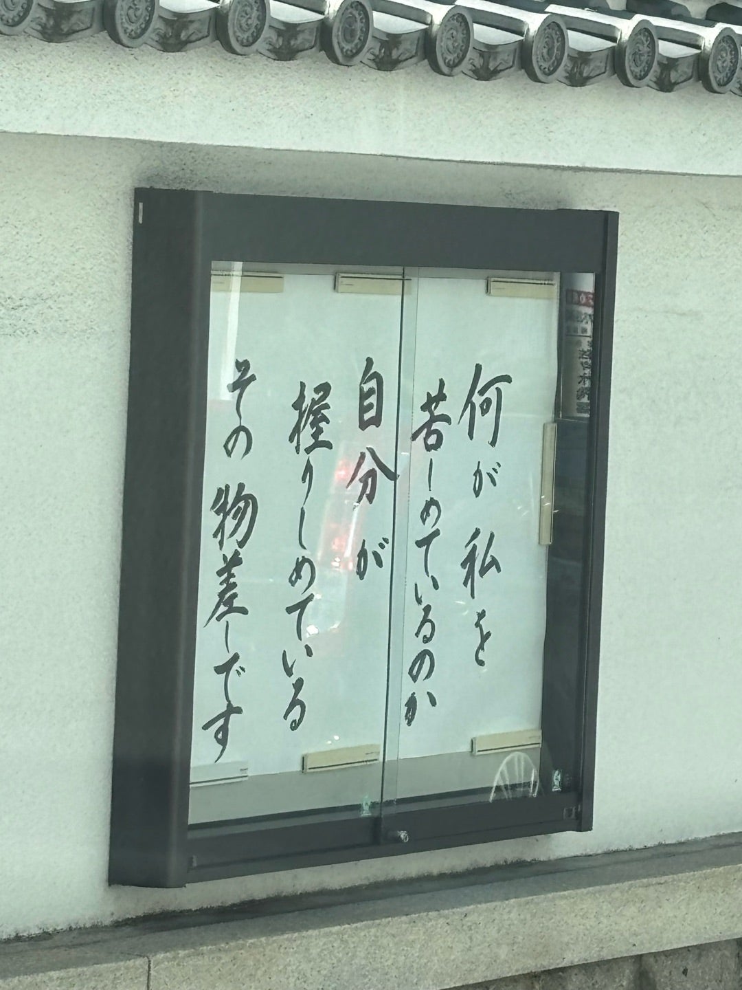増えてきた白髪を活かす！
