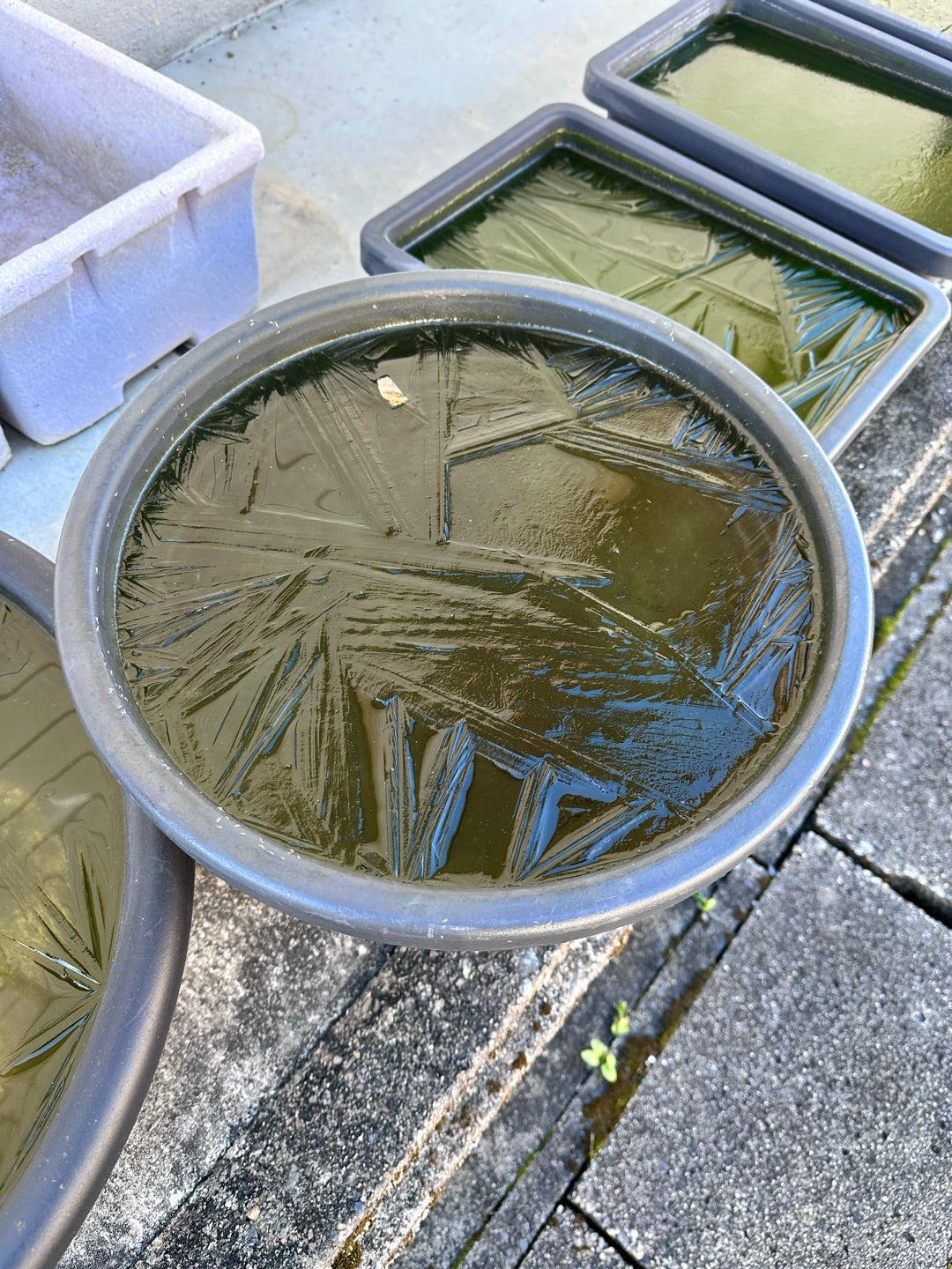 一気に冬ですね！