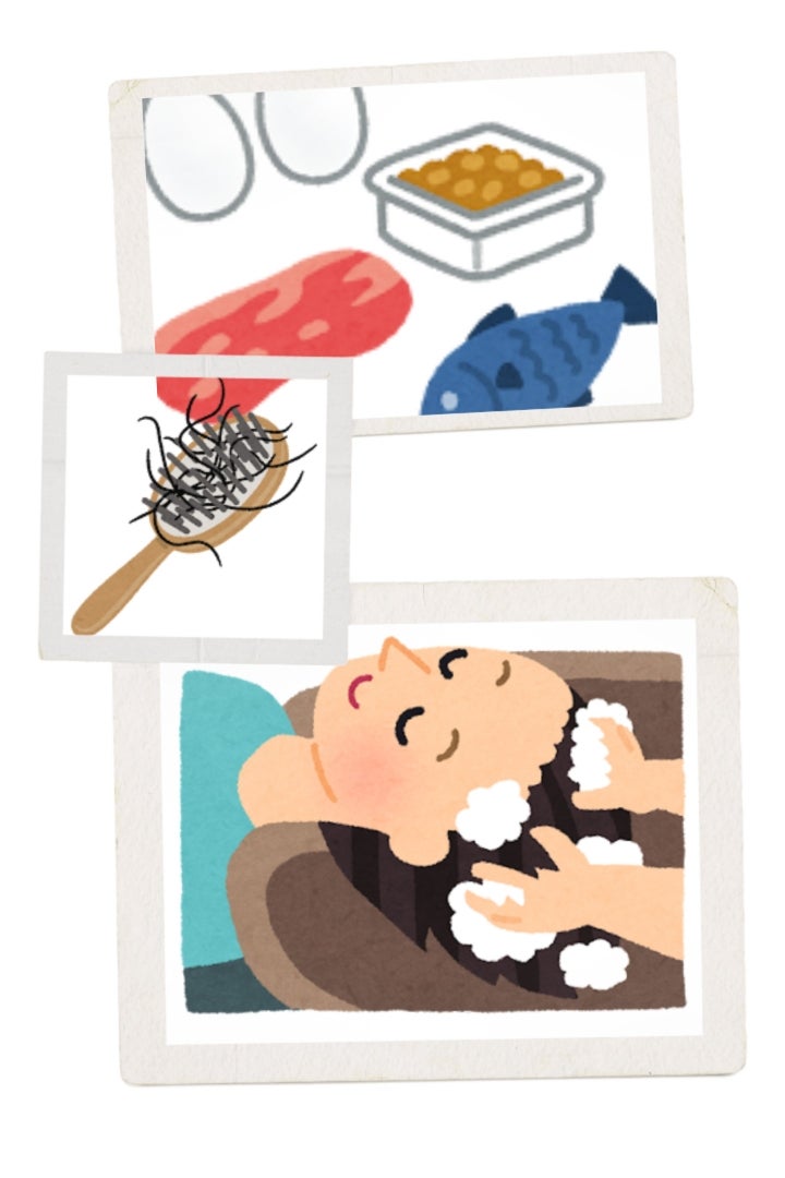 季節の変わり目、抜け毛を感じたら！